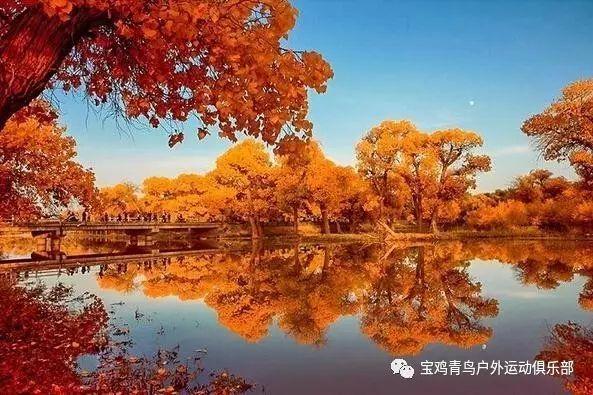 探索天涯奇闻异事,畅谈燕麦片别总泡着吃,加4个鸡蛋,这样做比馅饼都好吃,出锅就扫光